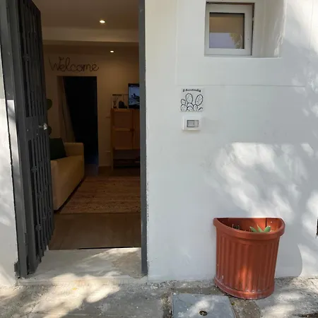 Il Mio Ficodindia Palermo